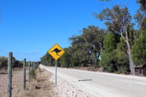 Read more about the article 4 Road Warning Signs You Can Expect to See Around the World … and What They Mean
