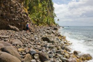 Read more about the article The 8 best things to see and do in Dominica