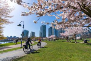 Read more about the article How to get around in Vancouver