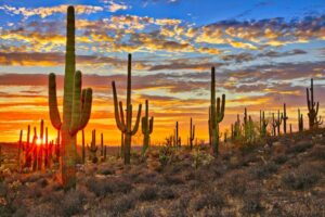 Read more about the article Arizona’s 5 best national parks and monuments to explore