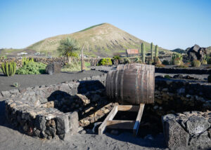 Read more about the article Bodegas El Grifo: Wine Tasting in Lanzarote