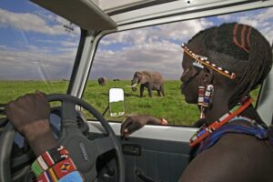 Read more about the article 16 ways to visit Kenya on a budget: affordable safaris and villas